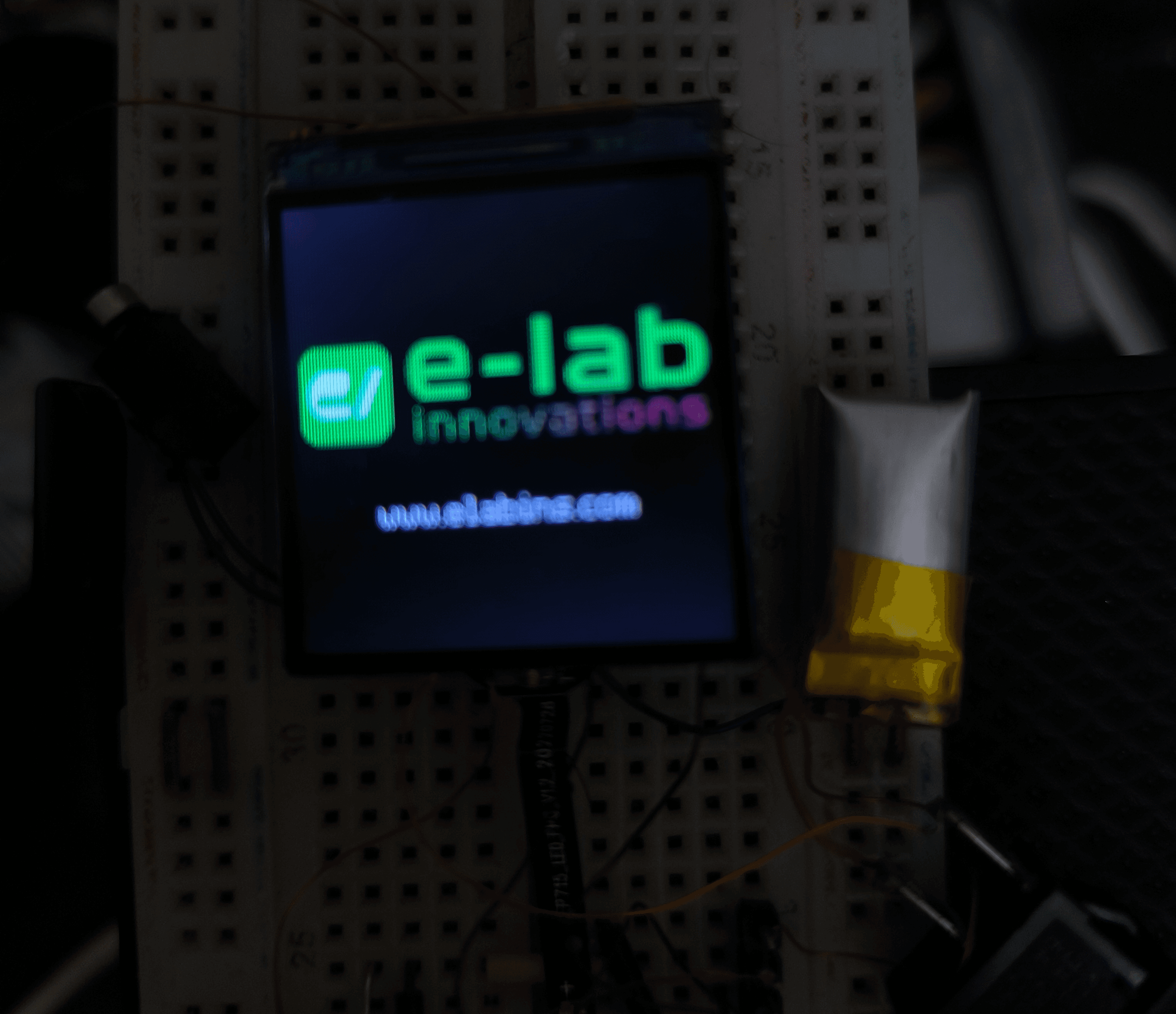 The e-lab logo rendered green on the watch display